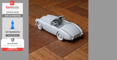 Austin-Healey 100 - Scale Vehicle STL
