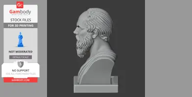 Socrates Bust - Historical Warrior STL