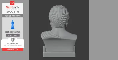 Socrates Bust - Historical Warrior STL