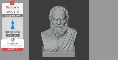 Socrates Bust - Historical Warrior STL