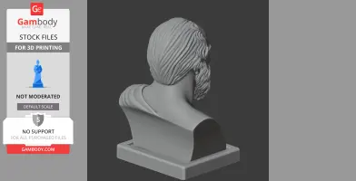 Socrates Bust - Historical Warrior STL
