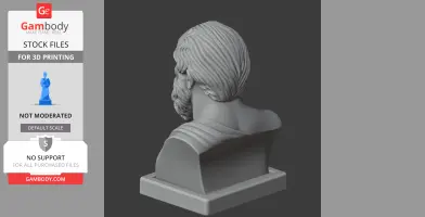 Socrates Bust - Historical Warrior STL
