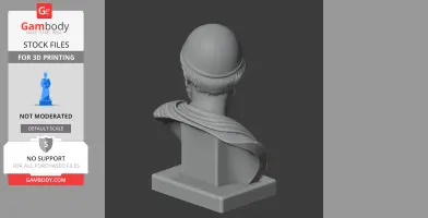 Solon Bust - Historical Warrior STL