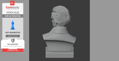 Soren Kierkegaard Bust - Historical Warrior STL