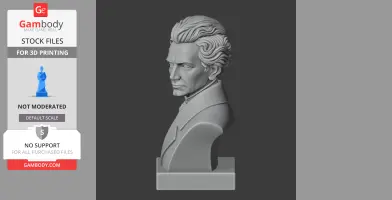 Soren Kierkegaard Bust - Historical Warrior STL