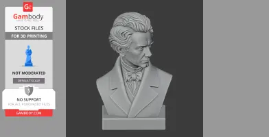 Soren Kierkegaard Bust - Historical Warrior STL