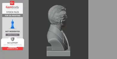 Soren Kierkegaard Bust - Historical Warrior STL