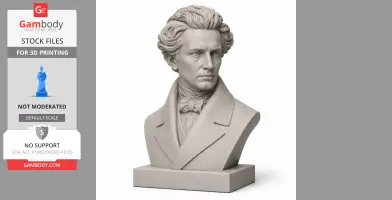 Soren Kierkegaard Bust - Historical Warrior STL