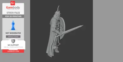 Stilicho Roman Legionary - Historical Warrior STL