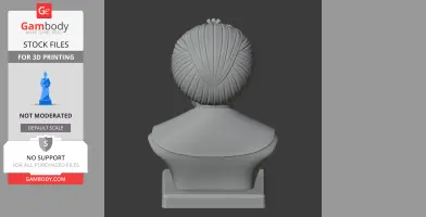 Suleiman the Magnificent Bust - Historical Warrior STL