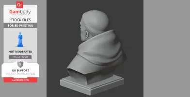Thomas Aquinas Bust - Historical Warrior STL
