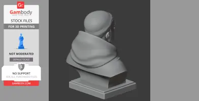 Thomas Aquinas Bust - Historical Warrior STL