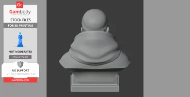 Thomas Aquinas Bust - Historical Warrior STL