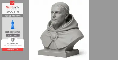 Thomas Aquinas Bust - Historical Warrior STL
