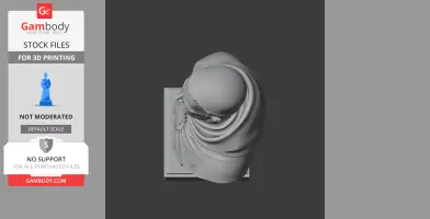 Thomas Aquinas Bust - Historical Warrior STL