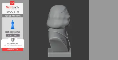Thomas Hobbes Bust - Historical Warrior STL