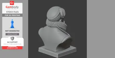 Tycho Brahe Bust - Historical Warrior STL