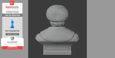 Back view of a 3D-printed Vasco da Gama bust with a textured cape and detailed hat.