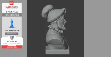 Vasco Nunez de Balboa Bust - Historical Warrior STL