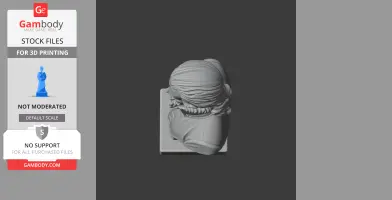 3D model of a bust with historical warrior elements, featuring detailed hair and clothing from an elevated angle.