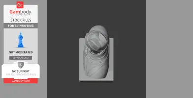 Zheng He Bust - Historical Warrior STL