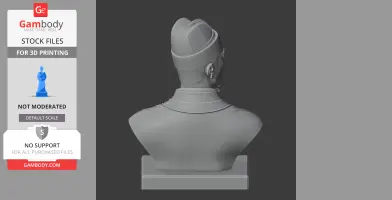 Zheng He Bust - Historical Warrior STL