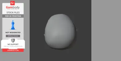Aorun Skull - Skull Replica STL