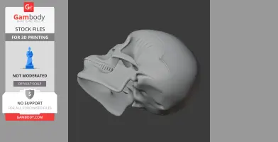 Aorun Skull - Skull Replica STL