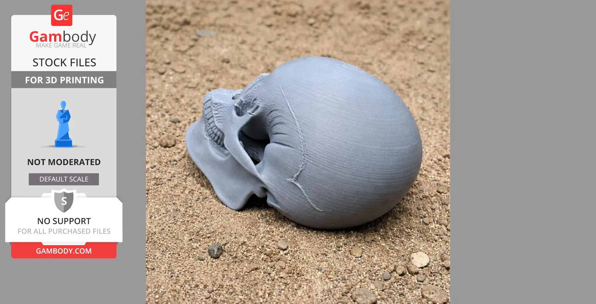 Aorun Skull - Skull Replica STL