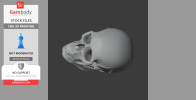 Aorun Skull - Skull Replica STL