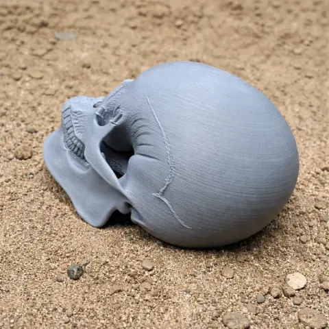 3D-printed gray skull replica on sandy surface.