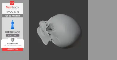 Aorun Skull - Skull Replica STL