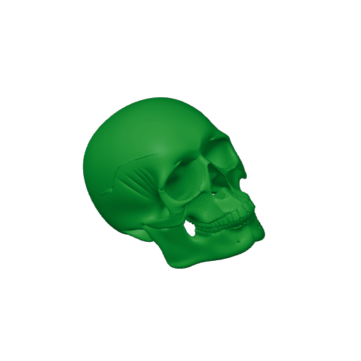 Aorun Skull.3mf