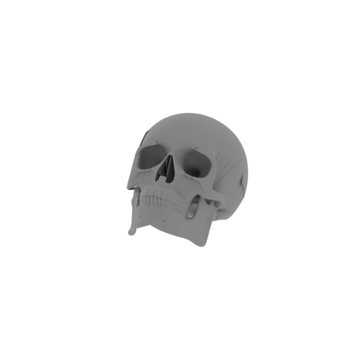 Aorun Skull.stl