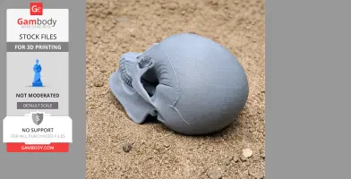 Aorun Skull - Skull Replica STL