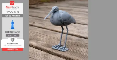 Agami heron - Prehistoric Animal STL