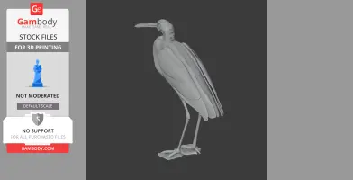 Agami heron - Prehistoric Animal STL