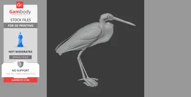 Agami heron - Prehistoric Animal STL