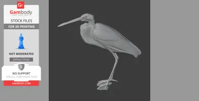 Agami heron - Prehistoric Animal STL