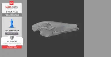 Arackar Skull - Skull Replica STL