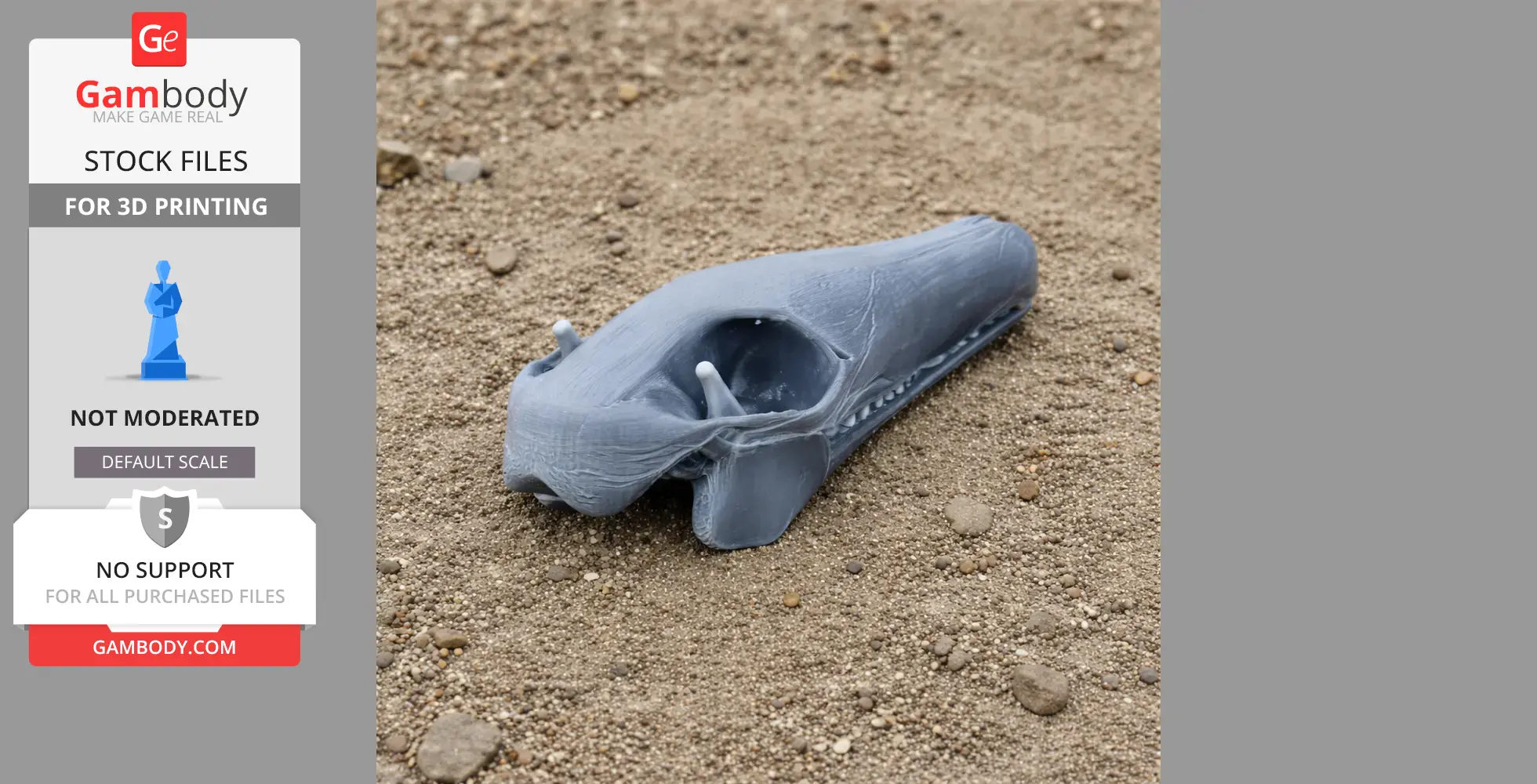 Arackar Skull - Skull Replica STL