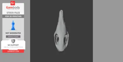 Arackar Skull - Skull Replica STL