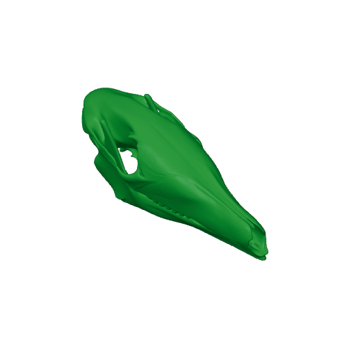 Arackar Skull.3mf