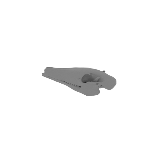 Arackar Skull.stl