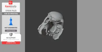 Detailed 3D model of an Archosauriform skull, featuring sharp teeth and intricate bone structure.