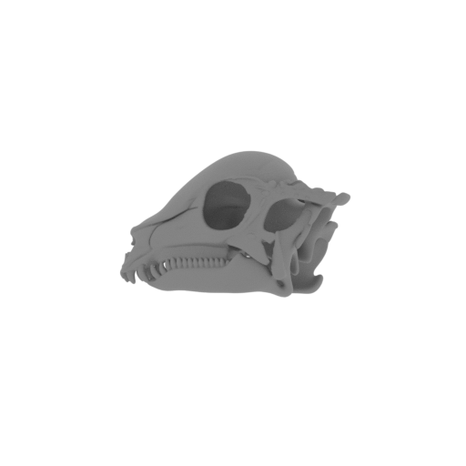 Archosauriform Skull.stl
