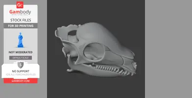 3D model of a detailed archosauriform skull, designed for 3D printing.
