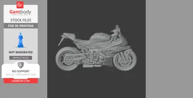 3D model of a BMW S1000RR motorcycle, detailed side view, designed for 3D printing.