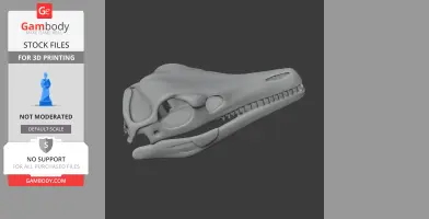 Arcusaurus Skull - Skull Replica STL