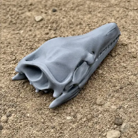 Arcusaurus Skull - Skull Replica STL